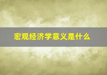 宏观经济学意义是什么