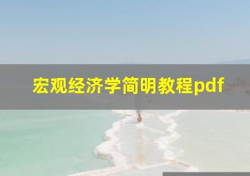 宏观经济学简明教程pdf