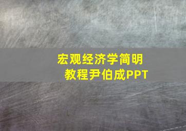 宏观经济学简明教程尹伯成PPT