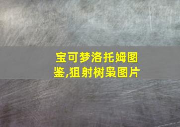 宝可梦洛托姆图鉴,狙射树枭图片