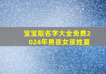 宝宝取名字大全免费2024年男孩女孩姓夏