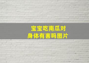 宝宝吃南瓜对身体有害吗图片