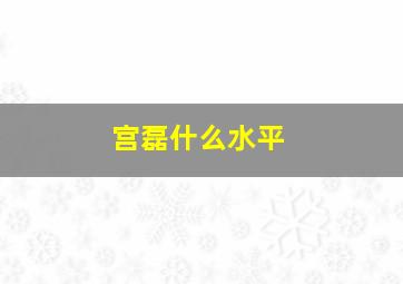 宫磊什么水平