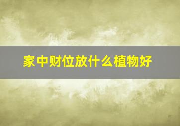 家中财位放什么植物好