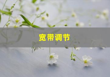 宽带调节