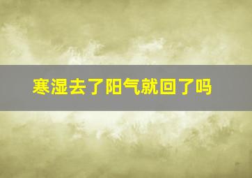 寒湿去了阳气就回了吗