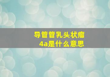 导管管乳头状瘤4a是什么意思