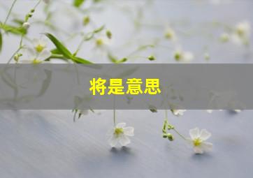 将是意思