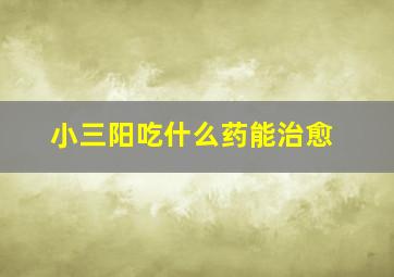 小三阳吃什么药能治愈