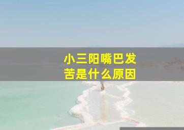 小三阳嘴巴发苦是什么原因