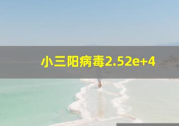 小三阳病毒2.52e+4