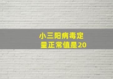 小三阳病毒定量正常值是20