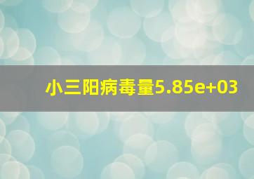 小三阳病毒量5.85e+03