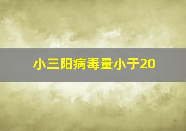 小三阳病毒量小于20