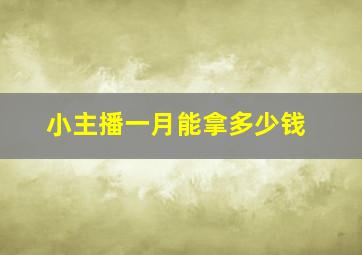 小主播一月能拿多少钱