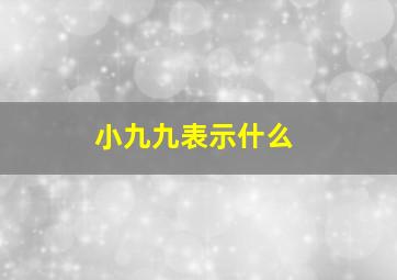 小九九表示什么