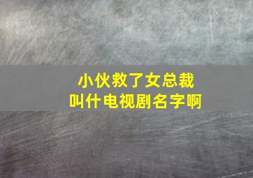 小伙救了女总裁叫什电视剧名字啊