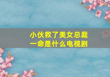 小伙救了美女总裁一命是什么电视剧