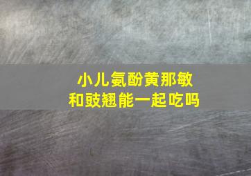 小儿氨酚黄那敏和豉翘能一起吃吗