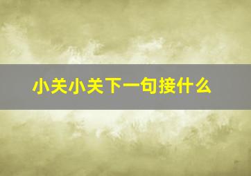 小关小关下一句接什么