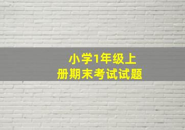 小学1年级上册期末考试试题