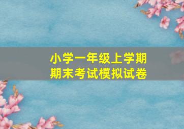 小学一年级上学期期末考试模拟试卷