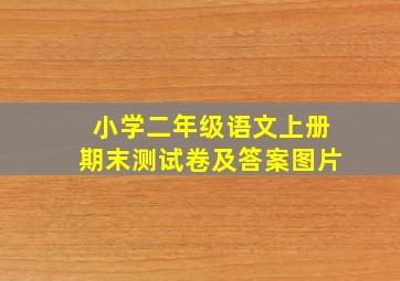 小学二年级语文上册期末测试卷及答案图片