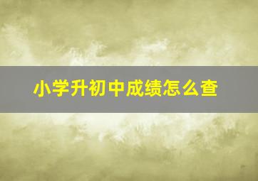 小学升初中成绩怎么查