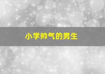 小学帅气的男生