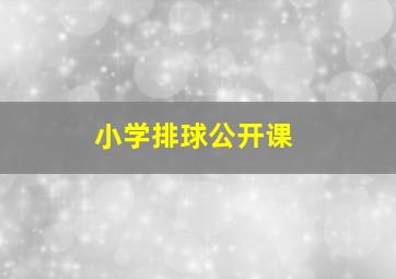 小学排球公开课