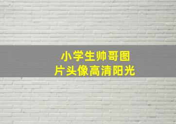 小学生帅哥图片头像高清阳光