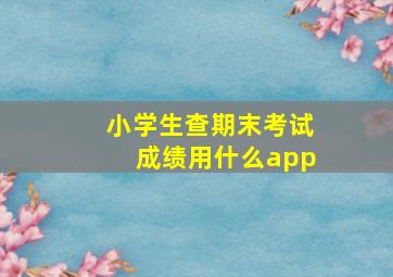 小学生查期末考试成绩用什么app