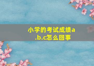 小学的考试成绩a.b.c怎么回事