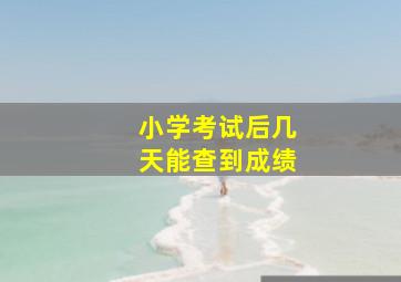 小学考试后几天能查到成绩