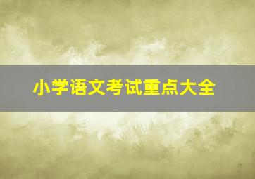 小学语文考试重点大全