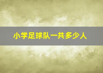 小学足球队一共多少人