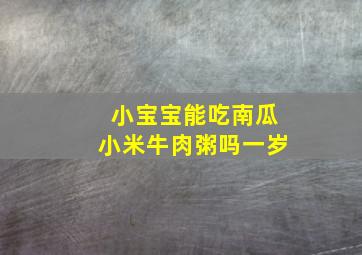 小宝宝能吃南瓜小米牛肉粥吗一岁