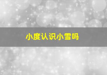 小度认识小雪吗