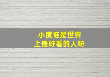 小度谁是世界上最好看的人呀