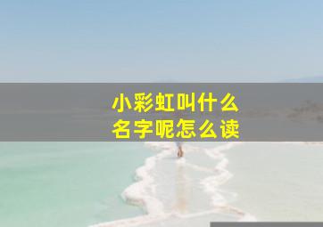 小彩虹叫什么名字呢怎么读