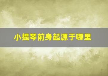 小提琴前身起源于哪里