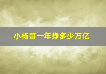 小杨哥一年挣多少万亿