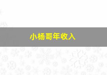 小杨哥年收入