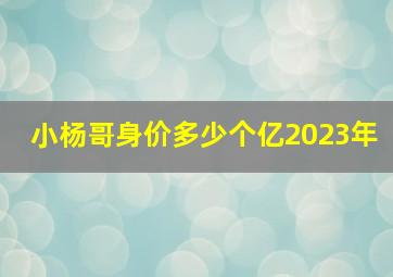 小杨哥身价多少个亿2023年