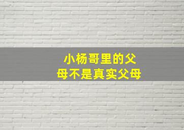 小杨哥里的父母不是真实父母