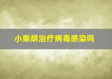 小柴胡治疗病毒感染吗