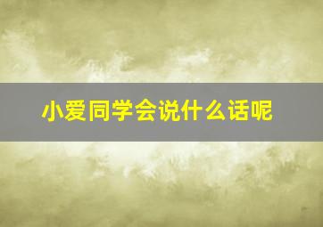 小爱同学会说什么话呢