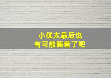 小犹太最后也有可能睡着了吧