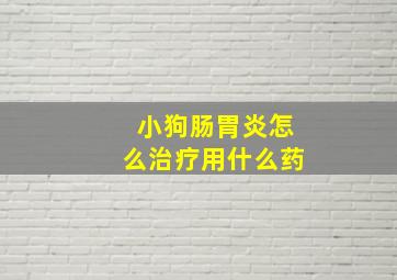 小狗肠胃炎怎么治疗用什么药