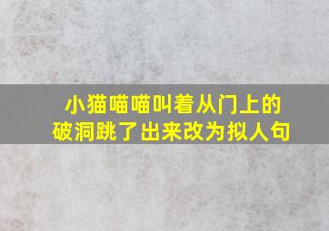 小猫喵喵叫着从门上的破洞跳了出来改为拟人句